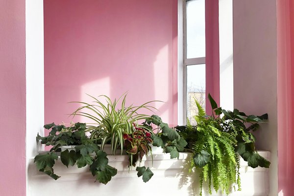 Comment intégrer des imprimés géométriques dans une garde-robe professionnelle?